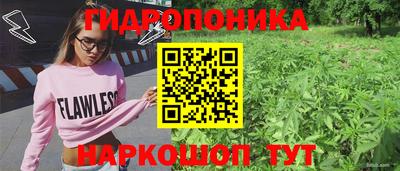 крисы Дубна