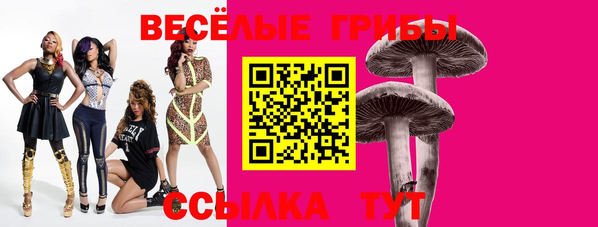 Галлюциногенные грибы Psilocybe Мариинск